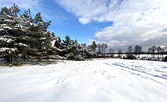Zimowy krajobraz Sosnowego Gaju